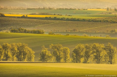 Moravske Toskansko Condo in South Moravian Region