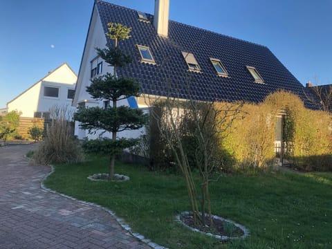 Property building, Garden, Garden view