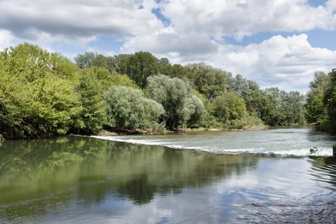 Le Moulin de Pézenas - Pierres d'Histoire Casa in Pézenas