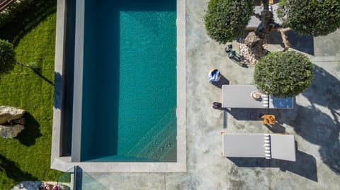 Bird's eye view, Swimming pool