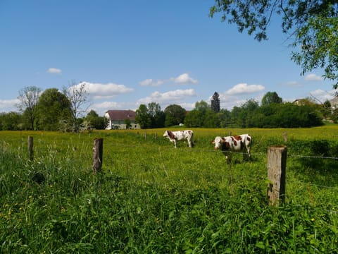 La Maison au Vert Wohnung in Vosges