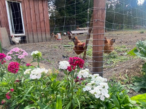 Agroturystyka Omelia Country House in Pomeranian Voivodeship