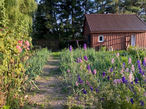 Agroturystyka Omelia Country House in Pomeranian Voivodeship
