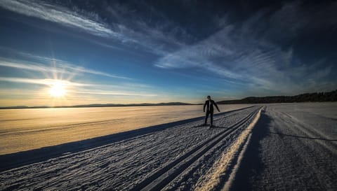 Skiing