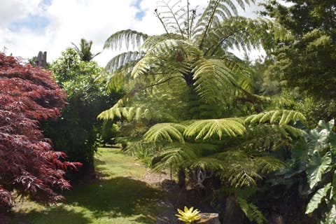 Kerikeri Garden Homestead Bed and Breakfast in Northland