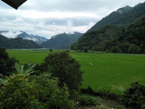 Summer, Garden view, Lake view, Mountain view, River view, Sunrise, Quiet street view