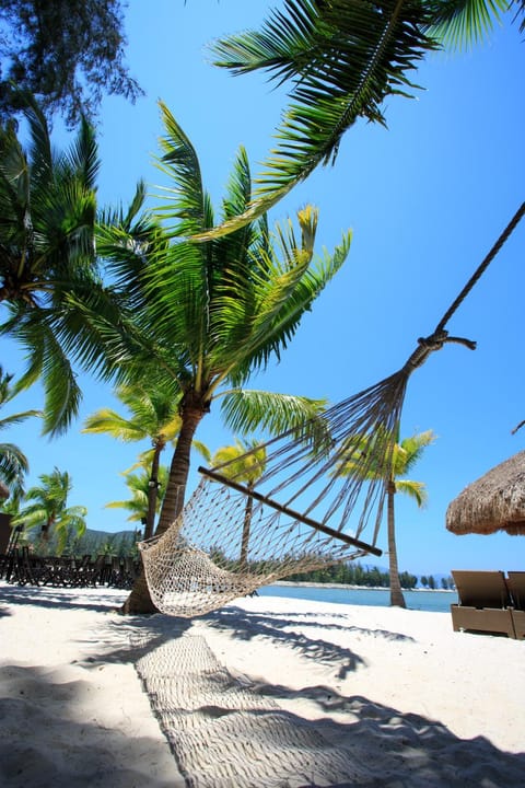 Natural landscape, Beach