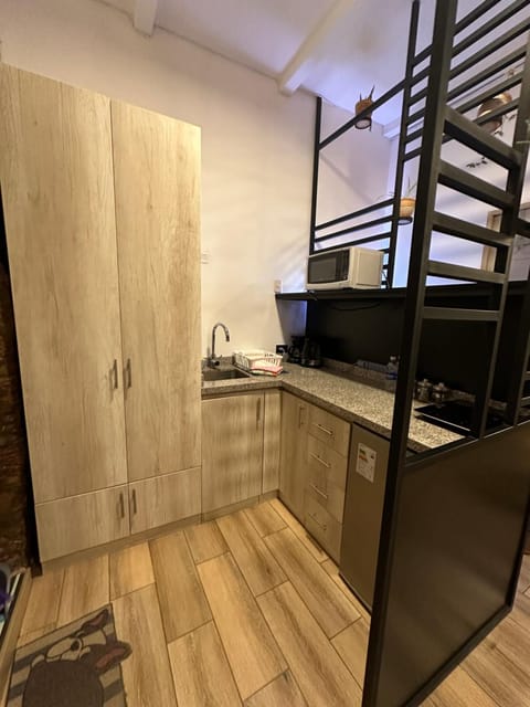 Kitchen or kitchenette, minibar, wardrobe