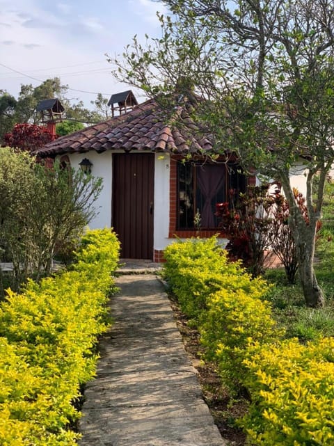 Garden, Photo of the whole room, Decorative detail, Garden view