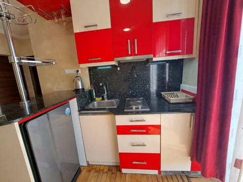 Kitchen or kitchenette, oven, stove