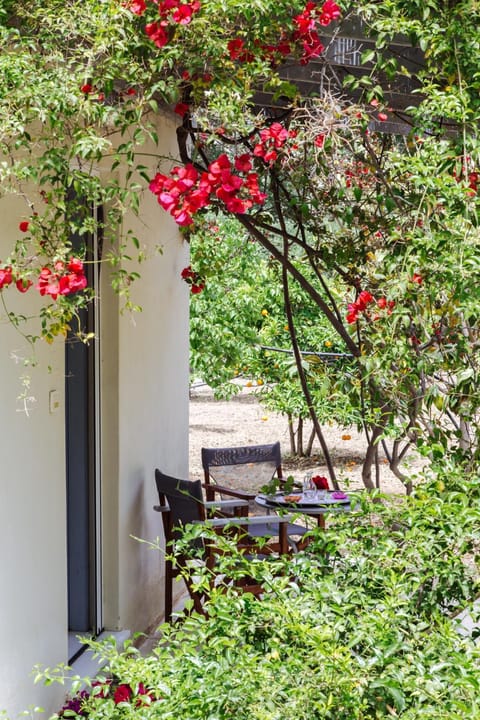 Margouno Eco Cottage Casa in Naxos, Naxos and Lesser Cyclades, Greece