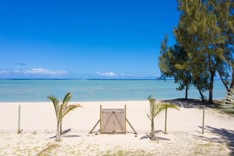 Beach, Sea view