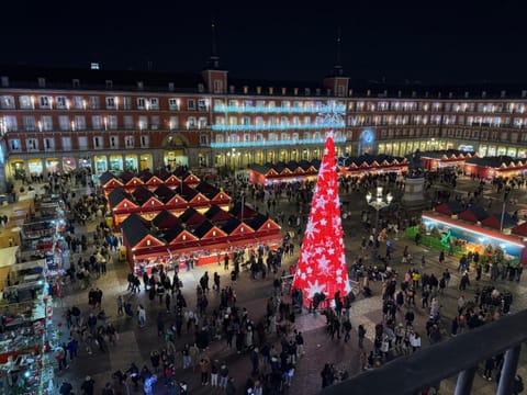 Plaza Mayor View Apartment in Centro