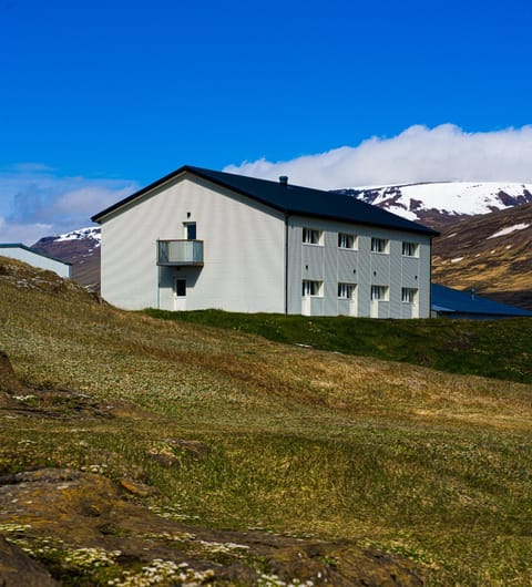 Salthús Guesthouse Alojamiento y desayuno in Iceland