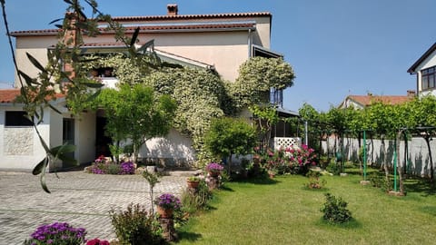 Property building, Spring, Day, Garden