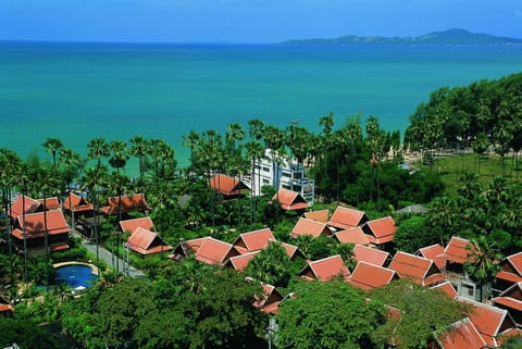 Bird's eye view, Garden