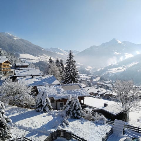 Alpbachblick Apartment in Alpbach