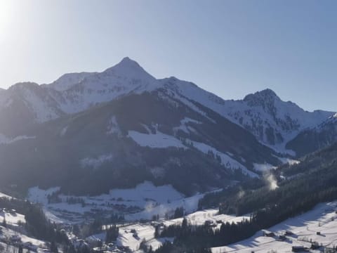 Alpbachblick Apartment in Alpbach