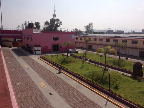 Bird's eye view, Garden, Garden view