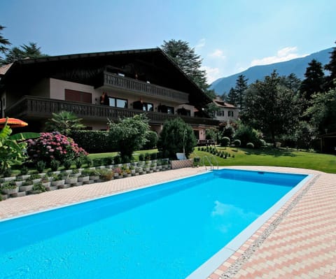Summer, Swimming pool, Swimming pool