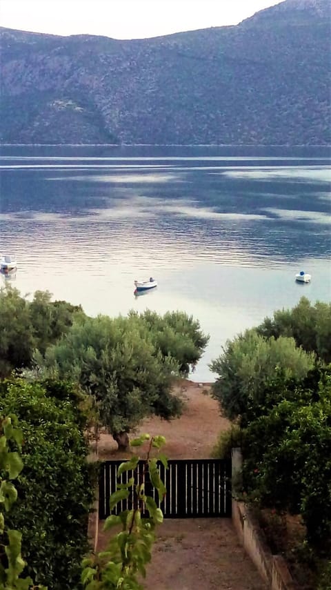 Garden view, Sea view