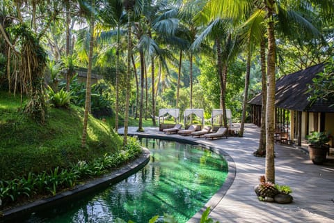 Garden view, Swimming pool, sunbed