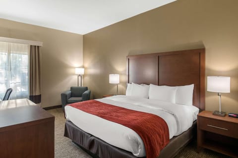 Comfort Inn & Suites Cedar Hill Duncanville Hotel in Texas