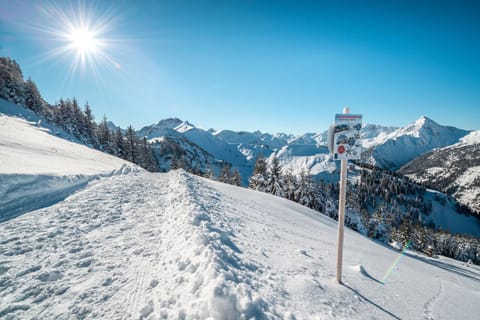 Natural landscape, Winter, Hiking