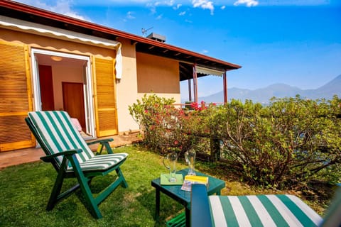 Garden, Mountain view