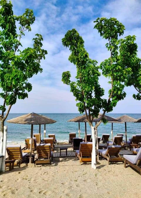 Beach, Sea view, sunbed