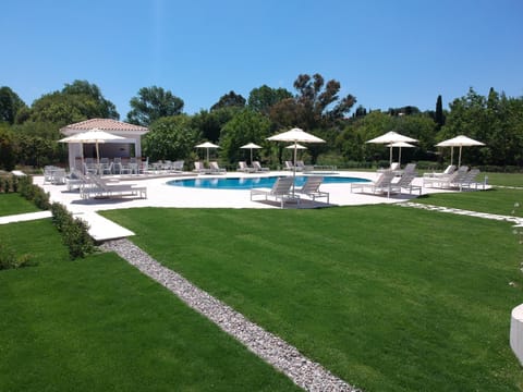 Summer, Garden view, Swimming pool