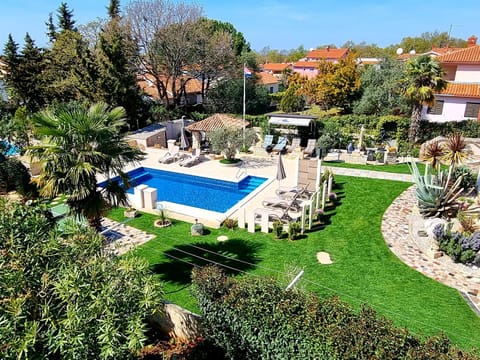 Bird's eye view, Pool view, Swimming pool