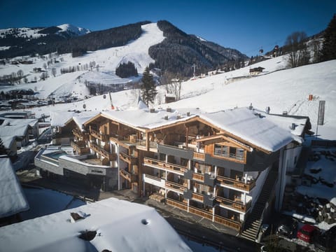 Property building, Natural landscape, Bird's eye view, Winter, Mountain view