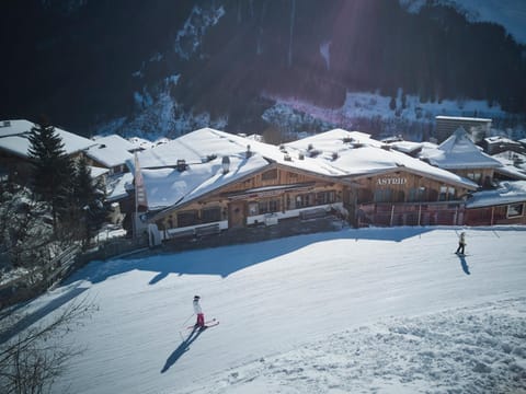 Bird's eye view, Winter, Skiing