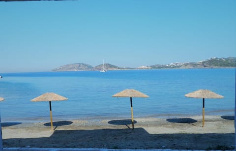 Nearby landmark, Beach