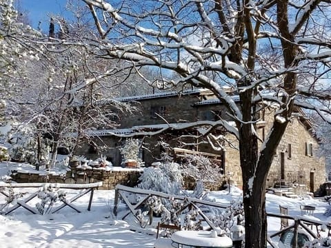 Property building, Day, Natural landscape, Winter, Garden, Garden view