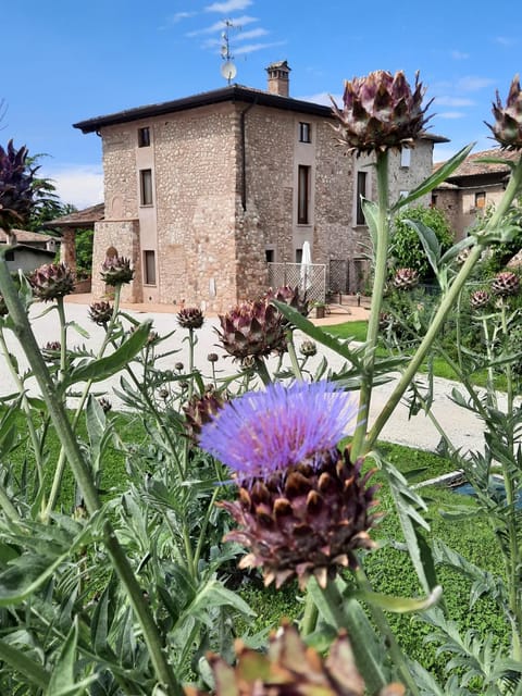 Corte Davini Agriturismo Farm Stay in Province of Brescia
