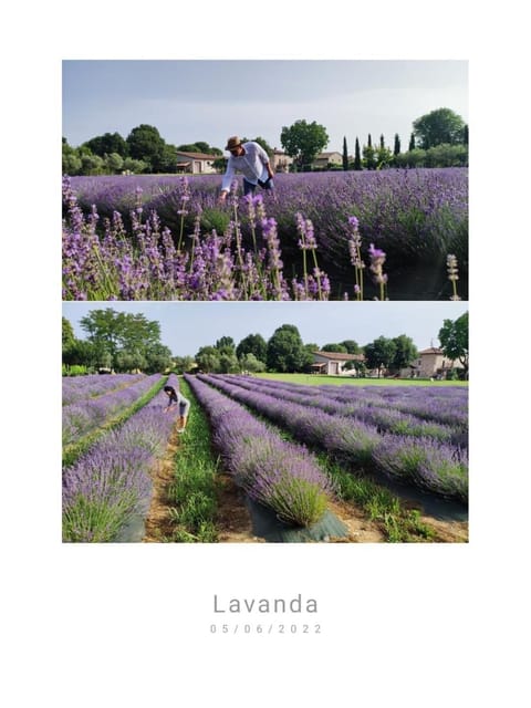 Corte Davini Agriturismo Farm Stay in Province of Brescia