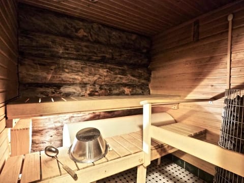 Levillas Martinmutka A & B House in Lapland