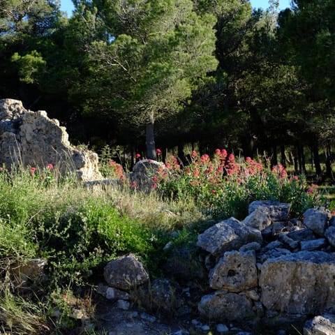 La Stregheria Chambre d’hôte in Leucate