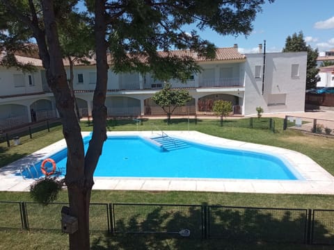 Pool view, Swimming pool