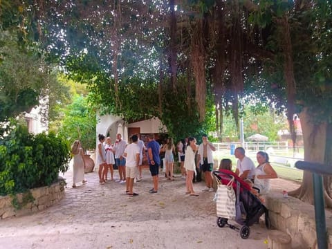 Garden, Guests, Garden view, group of guests