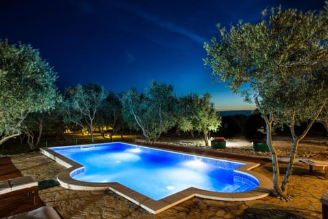 Villa Ivanovi Dvori Villa in Novalja