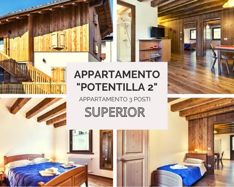 Albergo Diffuso Sutrio Zoncolan Apartment in Friuli-Venezia Giulia