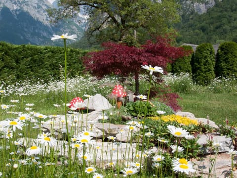 Property building, Garden, Mountain view
