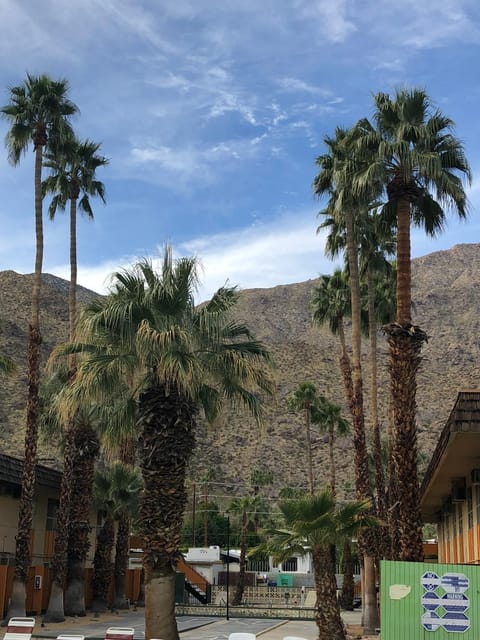 Desert Lodge Motel in Palm Springs