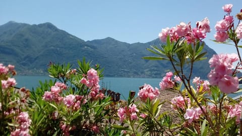 Natural landscape