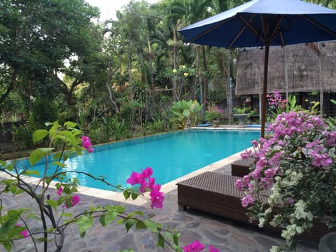 Pool view, Swimming pool