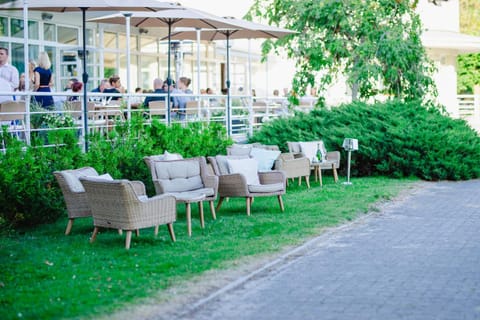 Natural landscape, Garden, Seating area, Garden view