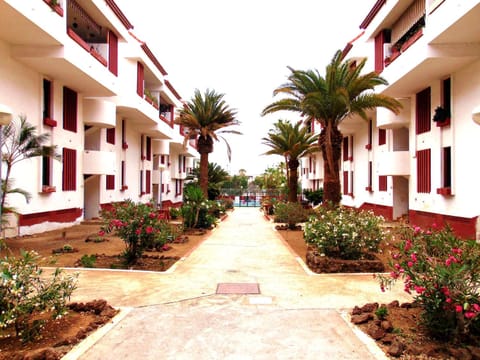 Apartment Altemar in Las Americas Eigentumswohnung in Playa de las Americas